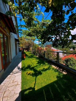 Guest house LALO